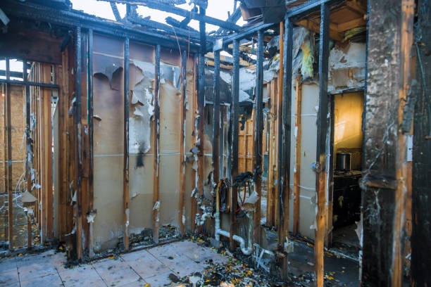 Professional Odor Removal technician working in Bad Axe, MI